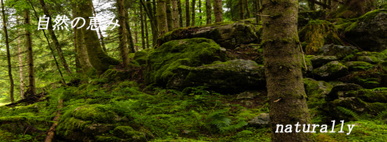 nsturally 自然