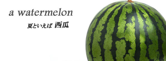 夏 新鮮 フレッシュスイカ
